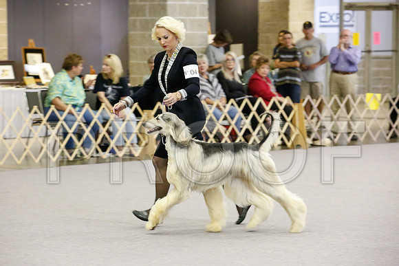 _JJ_0757-AfgBeltonOct2014-HR3