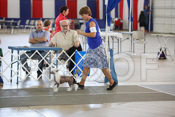 _JJ_1255-DallasJul2014-HR3