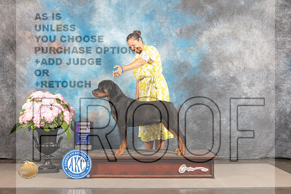 Rottweiler #11 SAT WD Judge Ken Murray_MJ_6490_Houston_2022_HR3