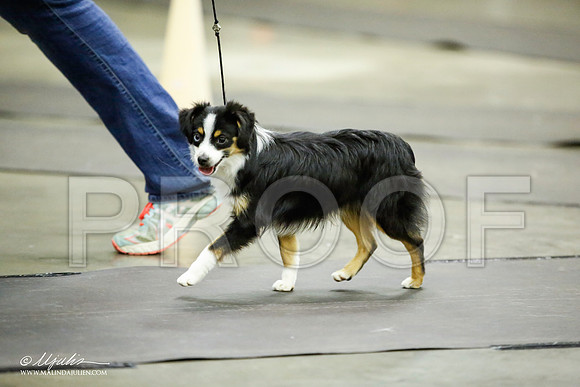 _JJ_6742-BeltonJan2015IABCA-HR3