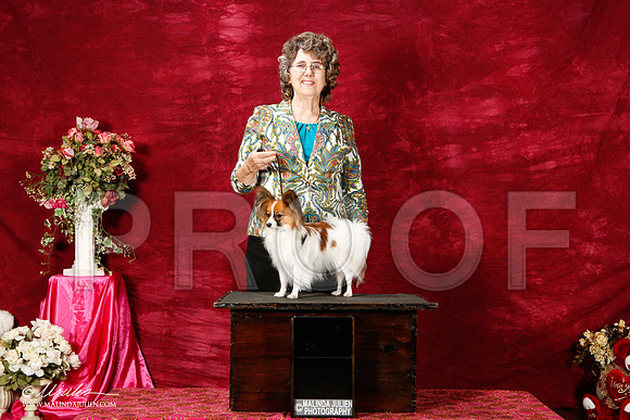 _ST_2588-2-BeltonJan2015IABCA-HR3