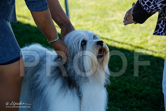 _JN_4882-AlamogordoOct2014-HR3