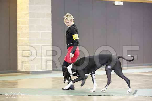 _JN_2109-BeltonJan2015-HR3