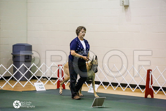 _JJ_4891-BsrCtyJun2014-HR3
