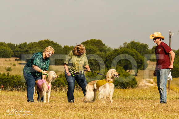 _MJ_4447-AfgBeltonOct2014-HR3