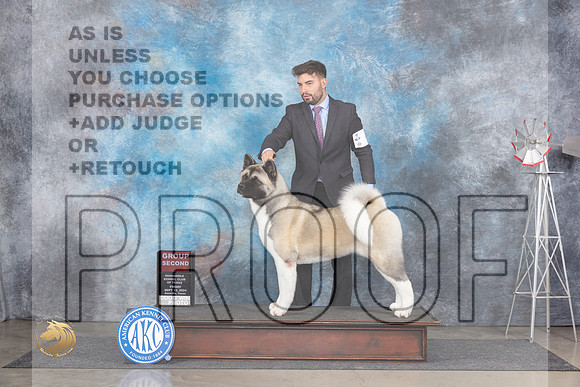 Akita #6 Fri G2 Judge Pat Trotter__JP_5407_Amarillo_2024_HR3