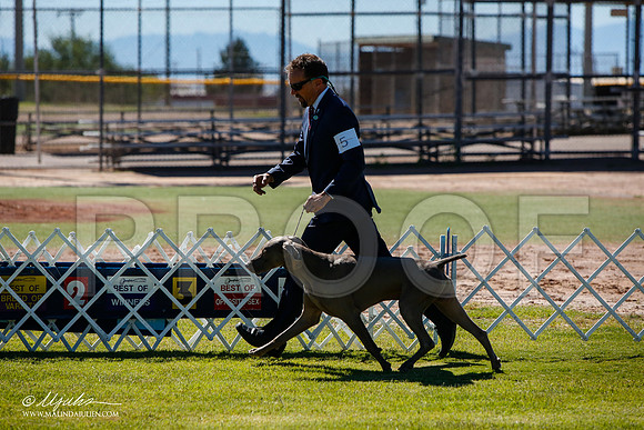 _JJ_5255-AlamogordoOct2014-HR3