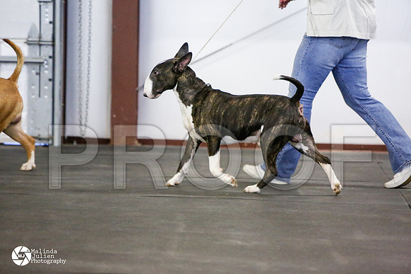 _N9A4159-AzleMar14-HR