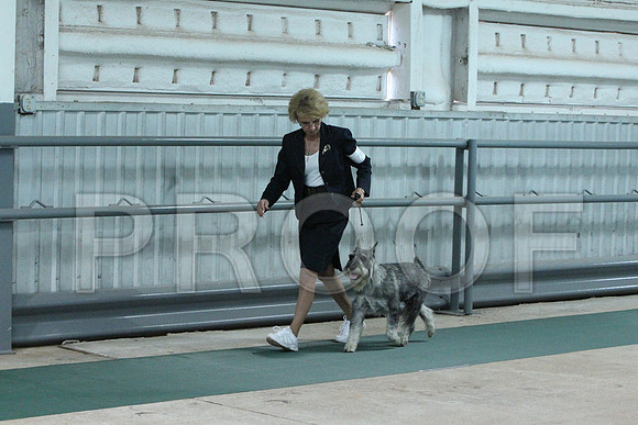 CCL_3446LR