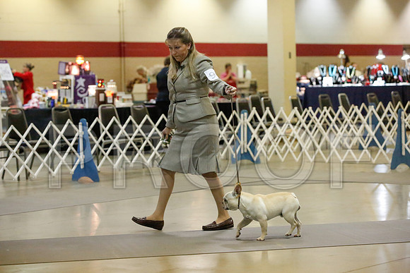 _JJ_8673-AmarilloSept2014-HR3