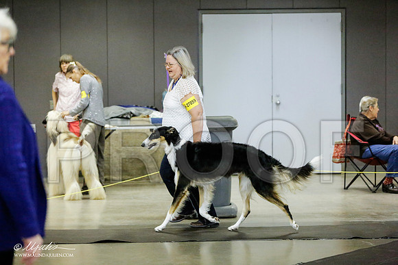 _RH_1314-BeltonJan2015IABCA-HR3