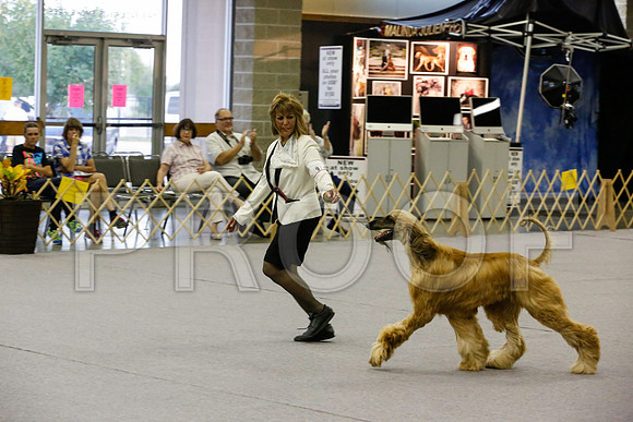 _JN_4307-AfgBeltonOct2014-HR3