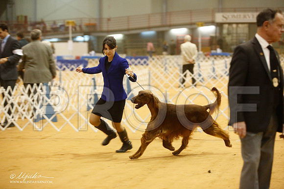 _JJ_7531-GlenRoseJan2015-HR3