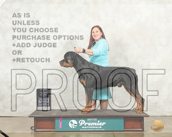 Rottweiler #1296 Sun COC Judge Diana Brumbaugh__MJ_9084_Premier_2022_HR3