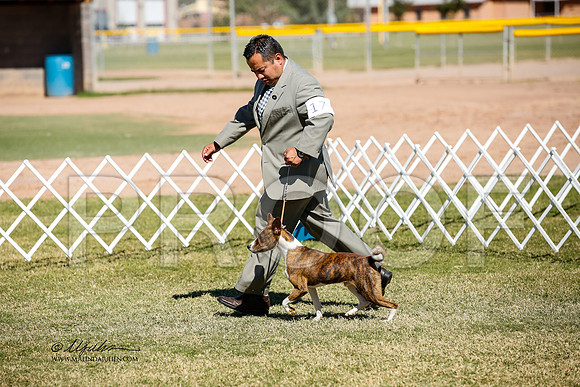 _JJ_2772-AlamogordoOct2014-HR3