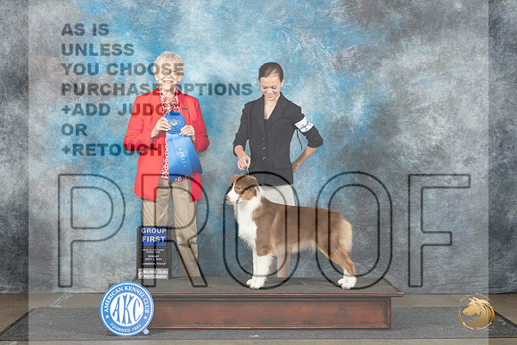 Australian Shepherd #10 Sun G1 Judge Sharon Newcomb__JP_3996_Lubbock_2024_HR3
