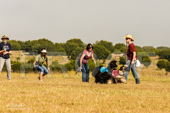 _MJ_4228-AfgBeltonOct2014-HR3
