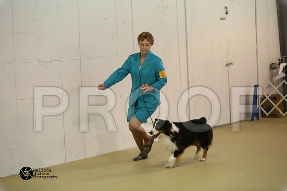 Aus, Basenji-0335-HtoJan14-HR