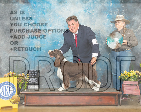 English Springer Spaniel #8 Sun OHG1 Judge Jan Sigler-MMJ_1640-NWARK2022-HR3