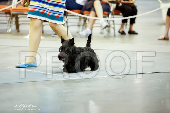 _JJ_7547-DalJul2014-HR3