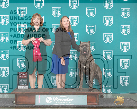 Cane Corso #1059 Fri BOB Deb Allen Sat G2 Judge Lori Sargent_JP_2553e_Premier_2024-HR3