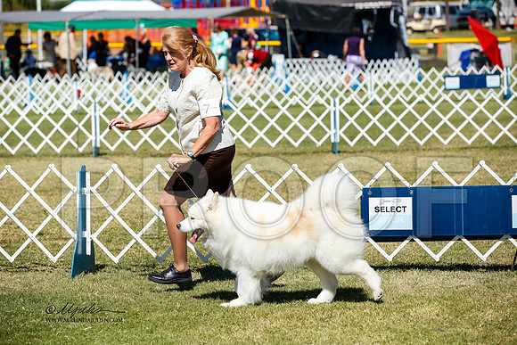 _JJ_3803-AlamogordoOct2014-HR3