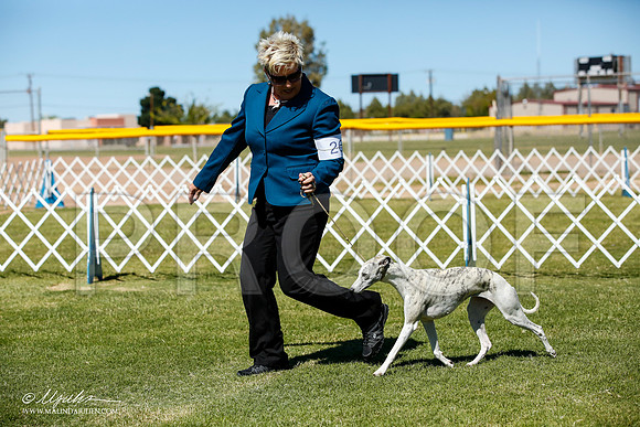 _JJ_0310-AlamogordoOct2014-HR3