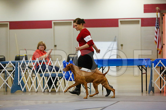_JN_4558-AmarilloSept2014-HR3