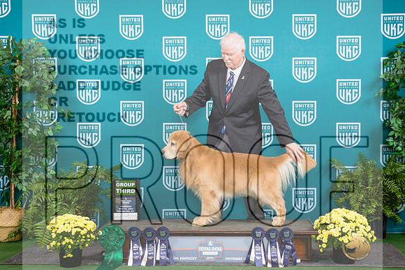Golden Retriever #137 Sat G3__JP_2716_UKCTDI2024_HR3