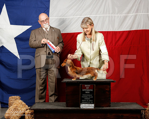 _ST_1521-2-AmarilloSep2014-HR3