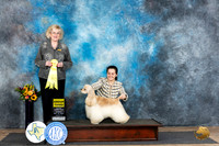Cocker Spaniel #7 Sun G3 Judge Vicki Abbott