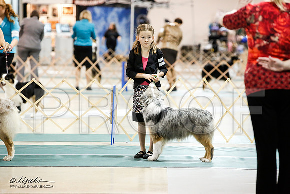 _JN_4954-ASCACollegeStationNov2014-HR3