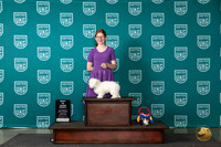 Coton de Tulear #655 Wed BPup Judge Stan Matsumoto