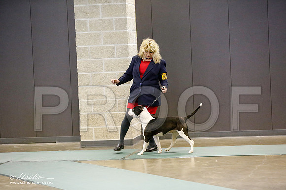 _RH_0373-BeltonJan2015-HR3
