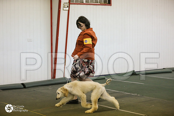 pup-8909-DntnMar14-HR3