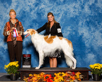 Borzois #5 Sat BOS Hardesty Georgia Ernest Cheely Judge Ms Joanne M Buehler