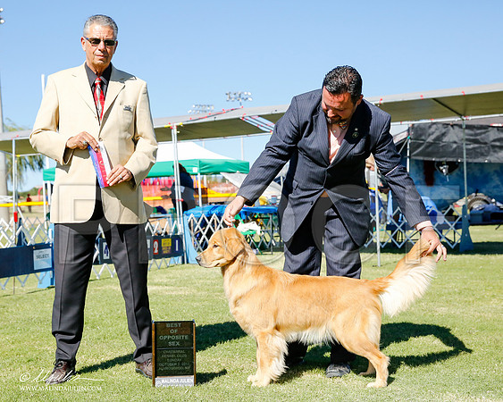 _CL_0376-2-AlamogordoOct2014-HR3