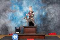 Italian Greyhound #10 Sat WBBOWM Judge Helen G Tomb