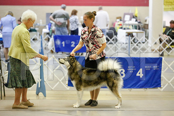 _JJ_7483-AmarilloSept2014-HR3