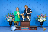 Beagle 15 #12 SAT G3 Judge Angela Pickett