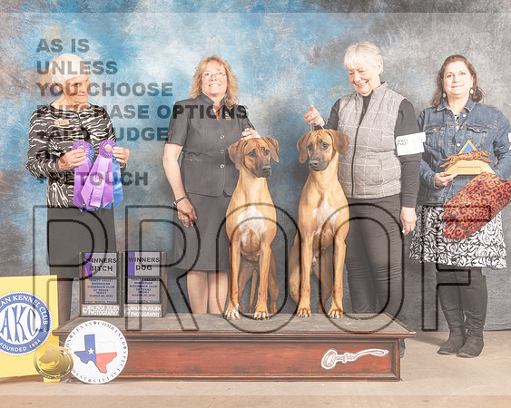 Rhodesian Ridgeback #17 & 52 Fri WD WB Judge Pluis Davern-MMJ_7226-FW2022-HR3