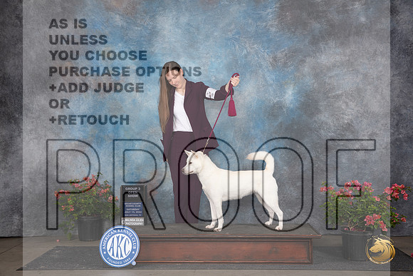 Kishu Ken #6 G#3 Judge Elizabeth ‘Beth’ Sweigart__JP_5295_San Antonio_2024_HR3