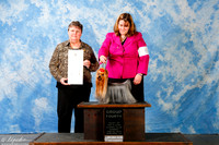 Yorkshire Terrier #6 Sun G4