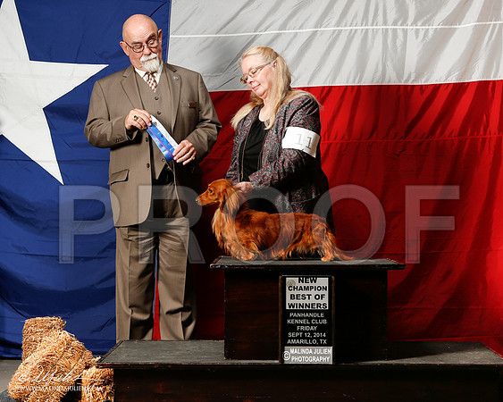 _ST_1533-2-AmarilloSep2014-HR3
