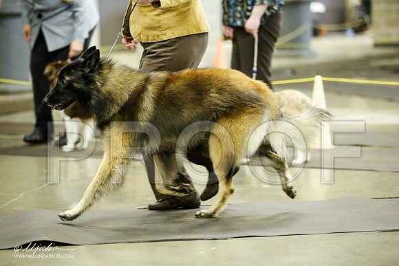 _JJ_7050-BeltonJan2015IABCA-HR3