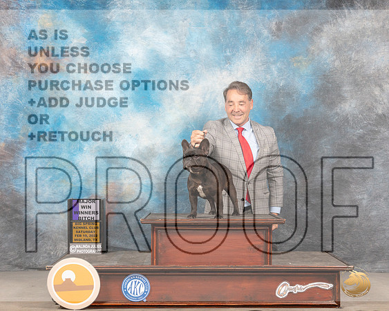 French Bulldog #50 Sat WB Judge Gary AndersenMMJ_4108_Mdlnd2022_HR3