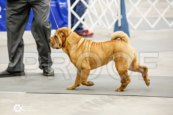 _HR_2050-AblnMay2014-web