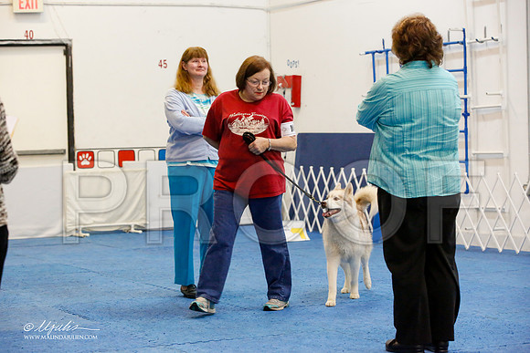 _M3_8089-AddisonHuskyMar2015-HR3