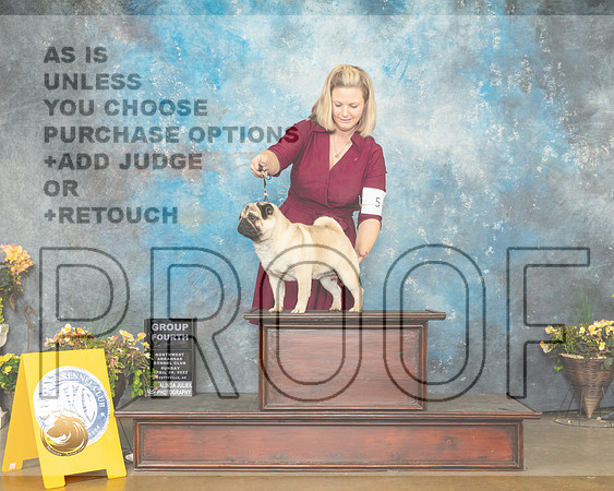 Pug #8 Sun G4 Judge Ray Filburn-MMJ_1964-NWARK2022-HR3