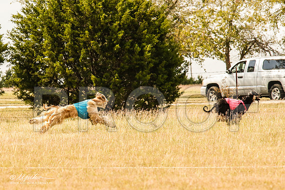 _MJ_5323-AfgBeltonOct2014-HR3